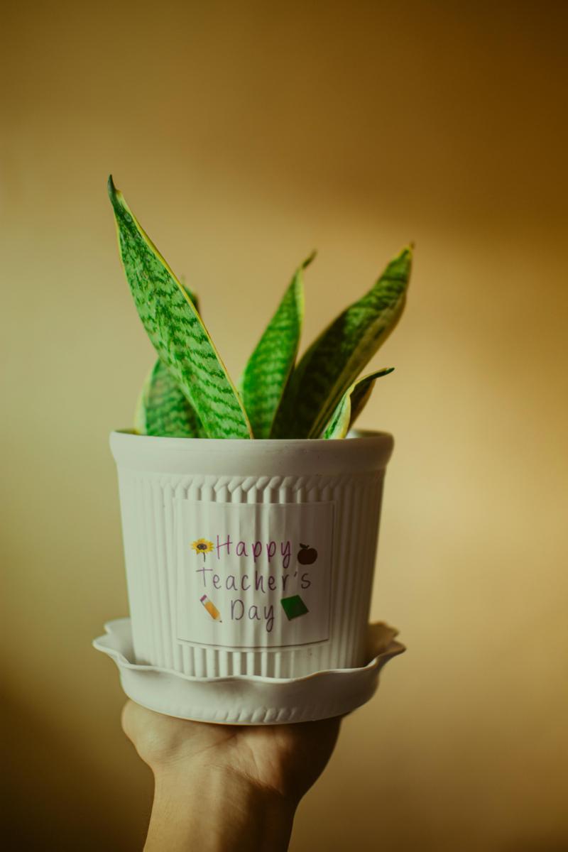 Teacher gifts